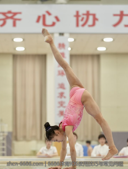 6686体育iOS使用技巧与常见问题